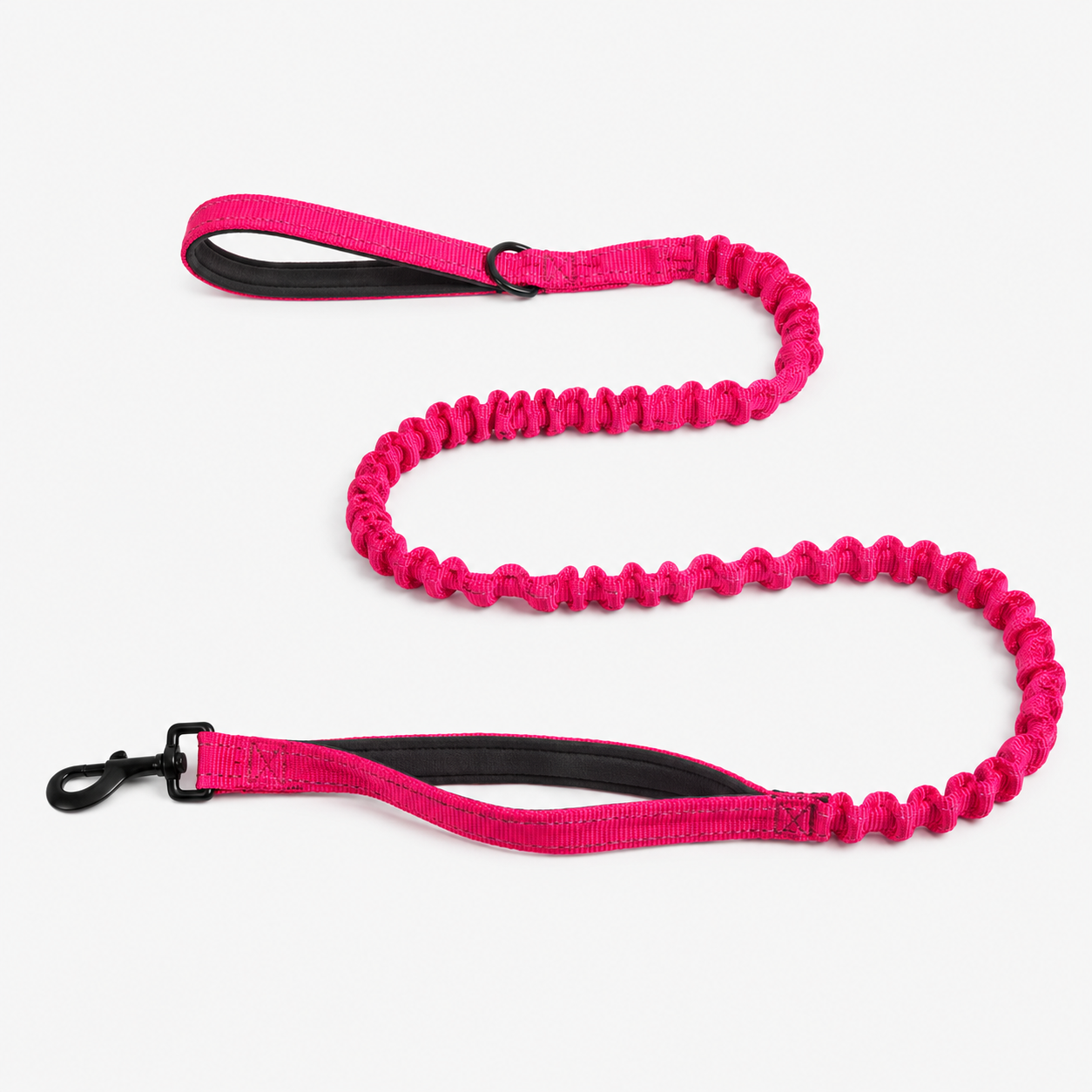 Laisse élastique pour chien