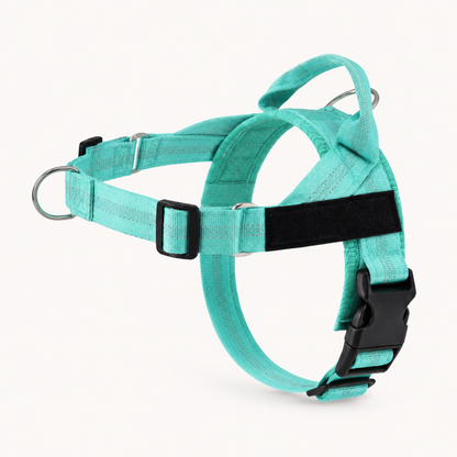 HARNAIS ANTI-TRACTION POUR CHIEN