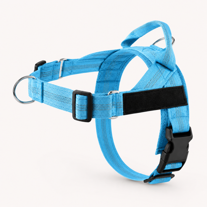 HARNAIS ANTI-TRACTION POUR CHIEN