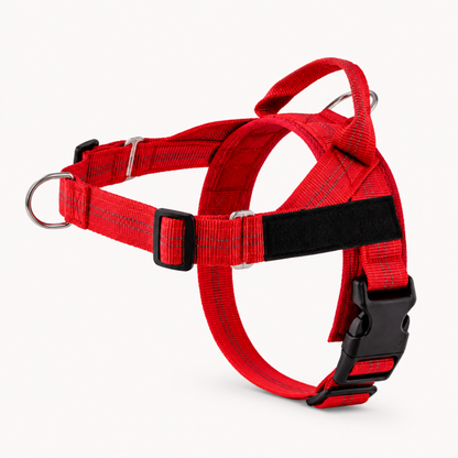 HARNAIS ANTI-TRACTION POUR CHIEN