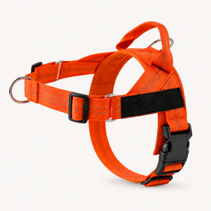 HARNAIS ANTI-TRACTION POUR CHIEN