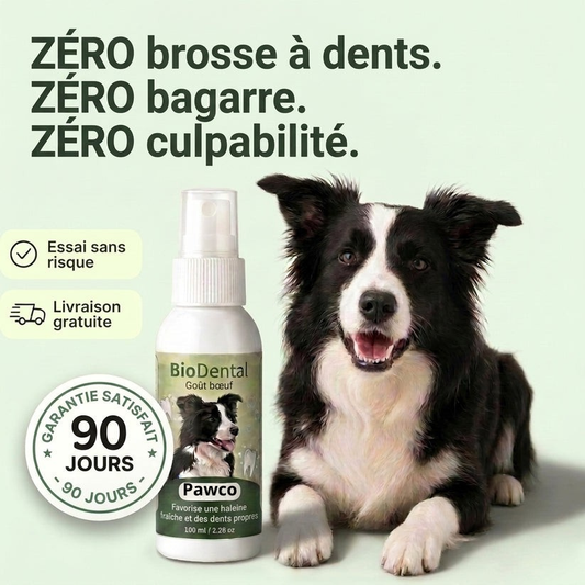 Spray Dentaire PawCo™ – Cible les bactéries responsables du tartre et de la mauvaise haleine chez le chien