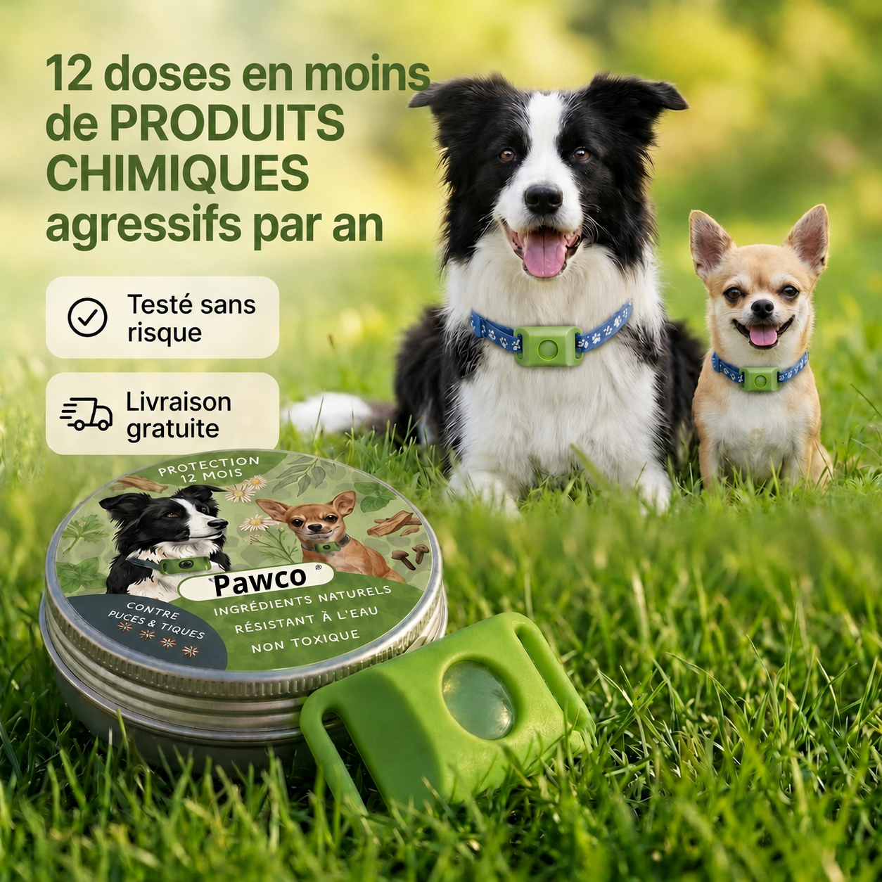 Pendentif Pawco™ - 12 mois de protection naturelle pour chiens