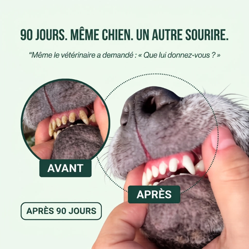 Spray Dentaire PawCo™ – Cible les bactéries responsables du tartre et de la mauvaise haleine chez le chien