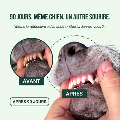 Spray Dentaire PawCo™ – Cible les bactéries responsables du tartre et de la mauvaise haleine chez le chien