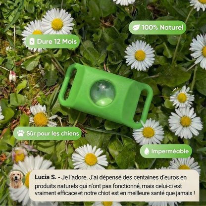 Pendentif Pawco™ - 12 mois de protection naturelle pour chiens