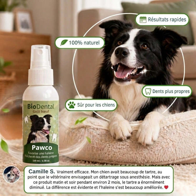 Spray Dentaire PawCo™ – Cible les bactéries responsables du tartre et de la mauvaise haleine chez le chien