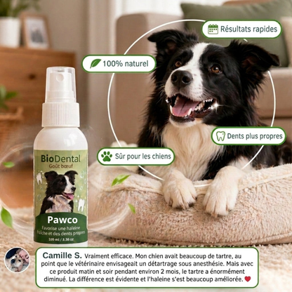Spray Dentaire PawCo™ – Cible les bactéries responsables du tartre et de la mauvaise haleine chez le chien