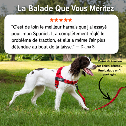 HARNAIS ANTI-TRACTION POUR CHIEN