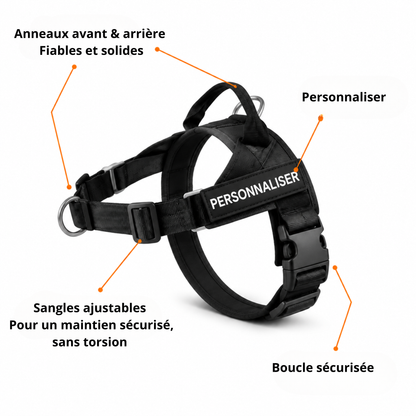 HARNAIS ANTI-TRACTION POUR CHIEN
