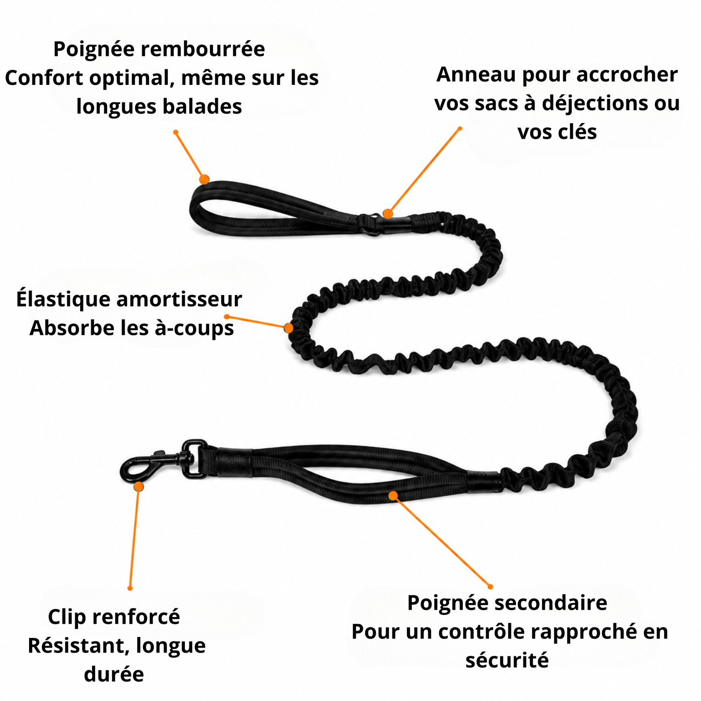 Laisse élastique pour chien
