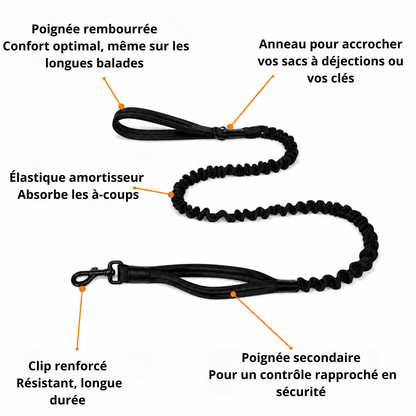 Laisse élastique pour chien