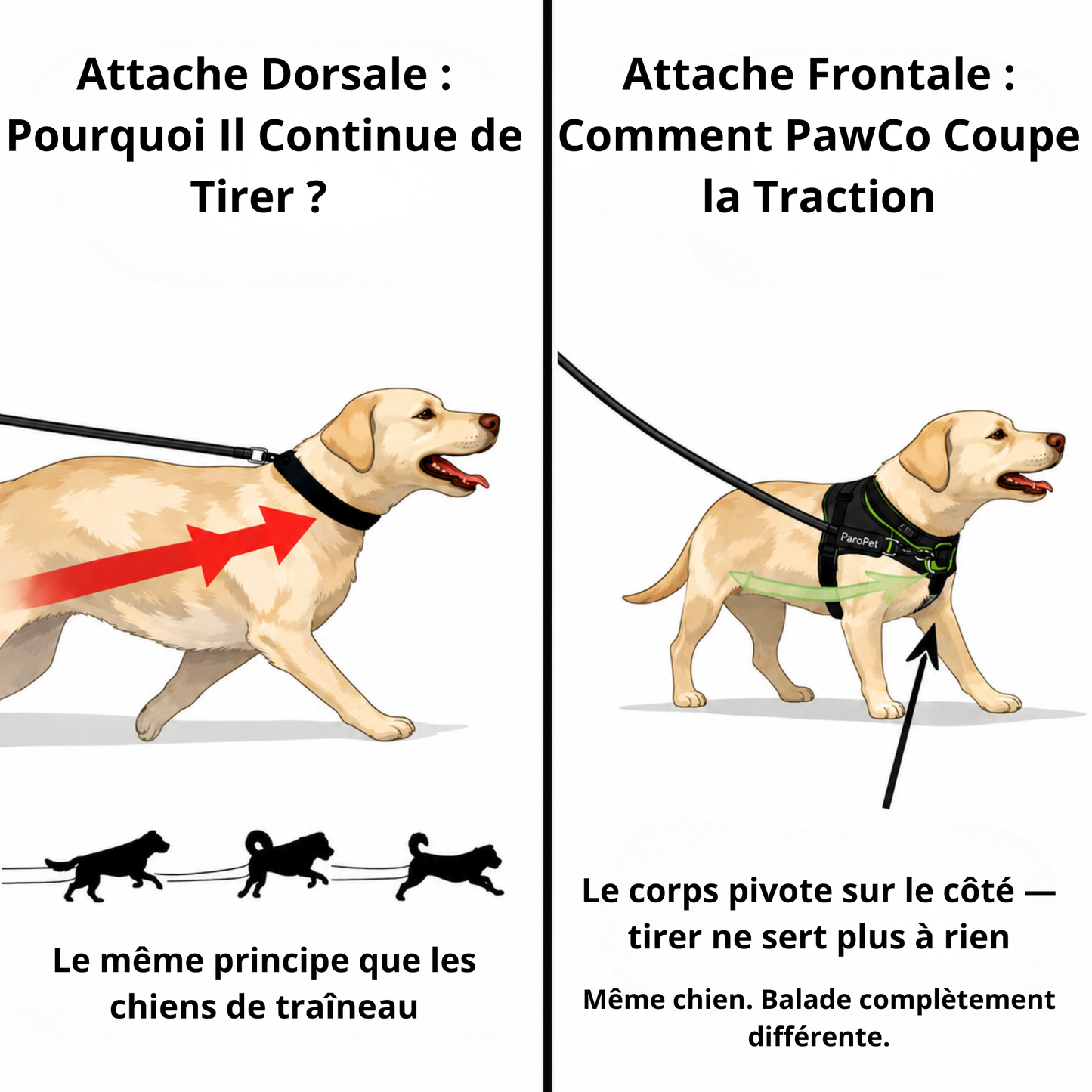 HARNAIS ANTI-TRACTION POUR CHIEN