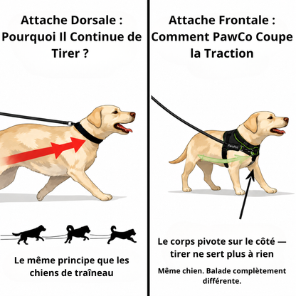 HARNAIS ANTI-TRACTION POUR CHIEN