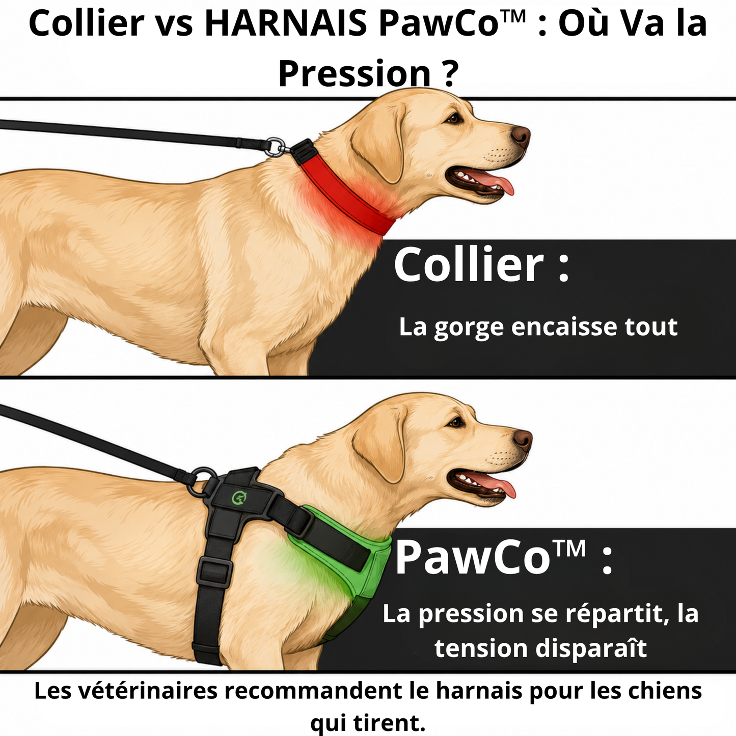 HARNAIS ANTI-TRACTION POUR CHIEN