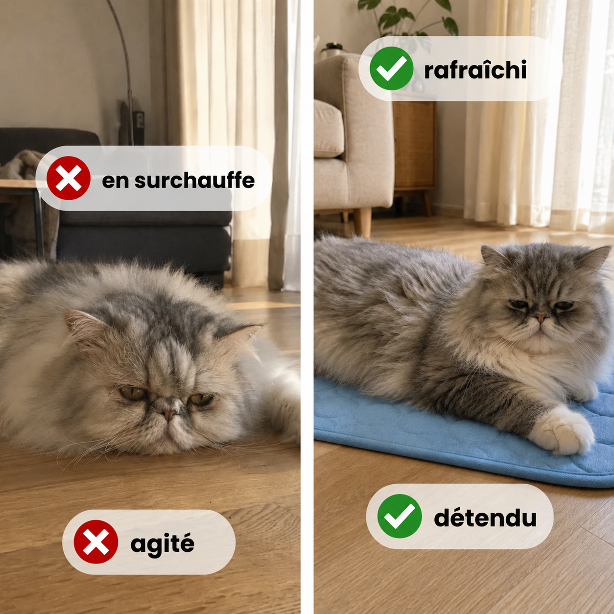 Tapis rafraîchissant PawCo™