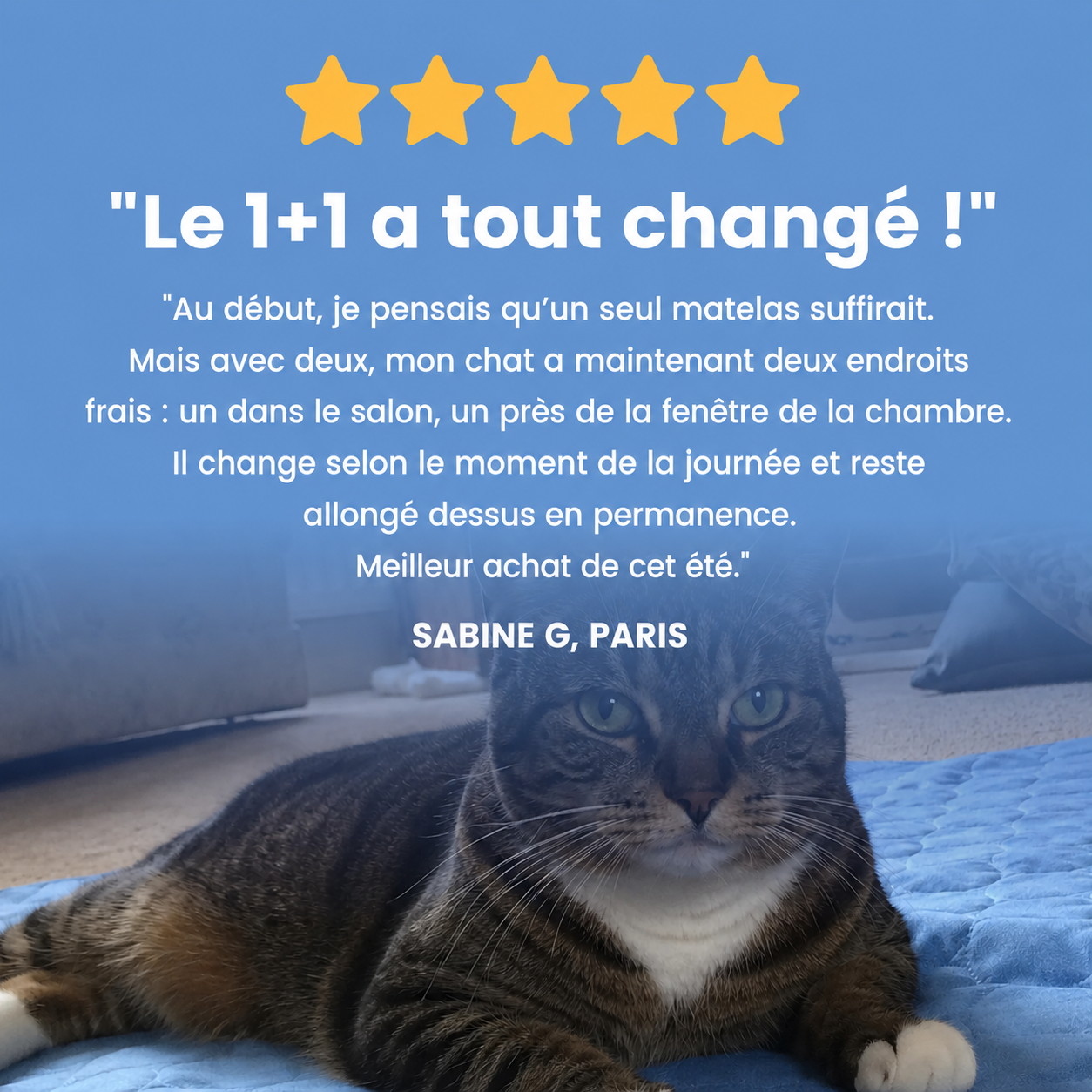 Tapis rafraîchissant PawCo™