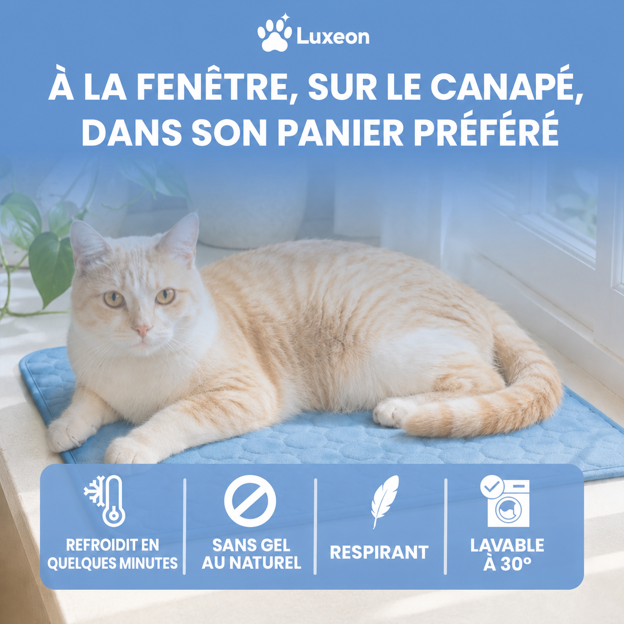 Tapis rafraîchissant PawCo™