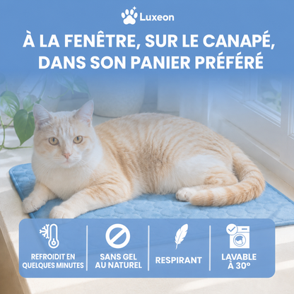 Tapis rafraîchissant PawCo™
