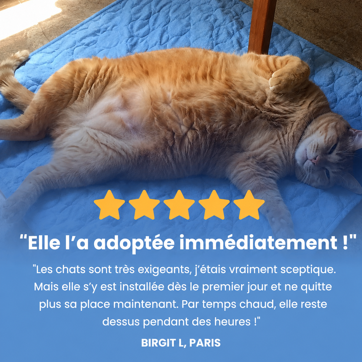 Tapis rafraîchissant PawCo™