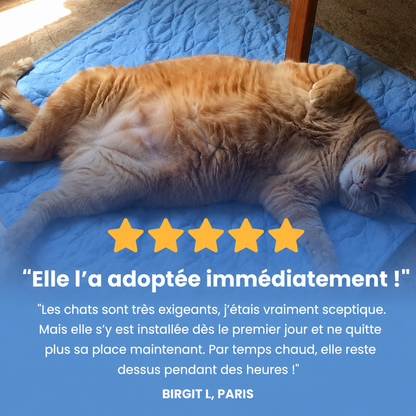 Tapis rafraîchissant PawCo™