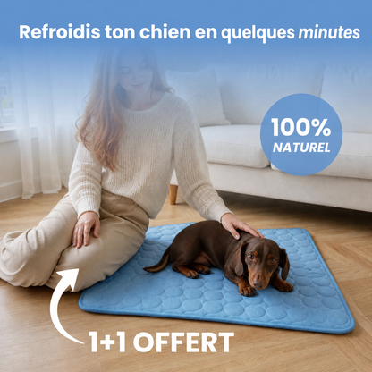 Tapis rafraîchissant PawCo™
