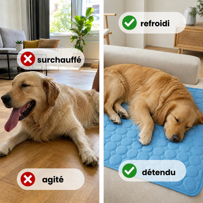 Tapis rafraîchissant PawCo™