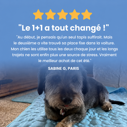 Tapis rafraîchissant PawCo™