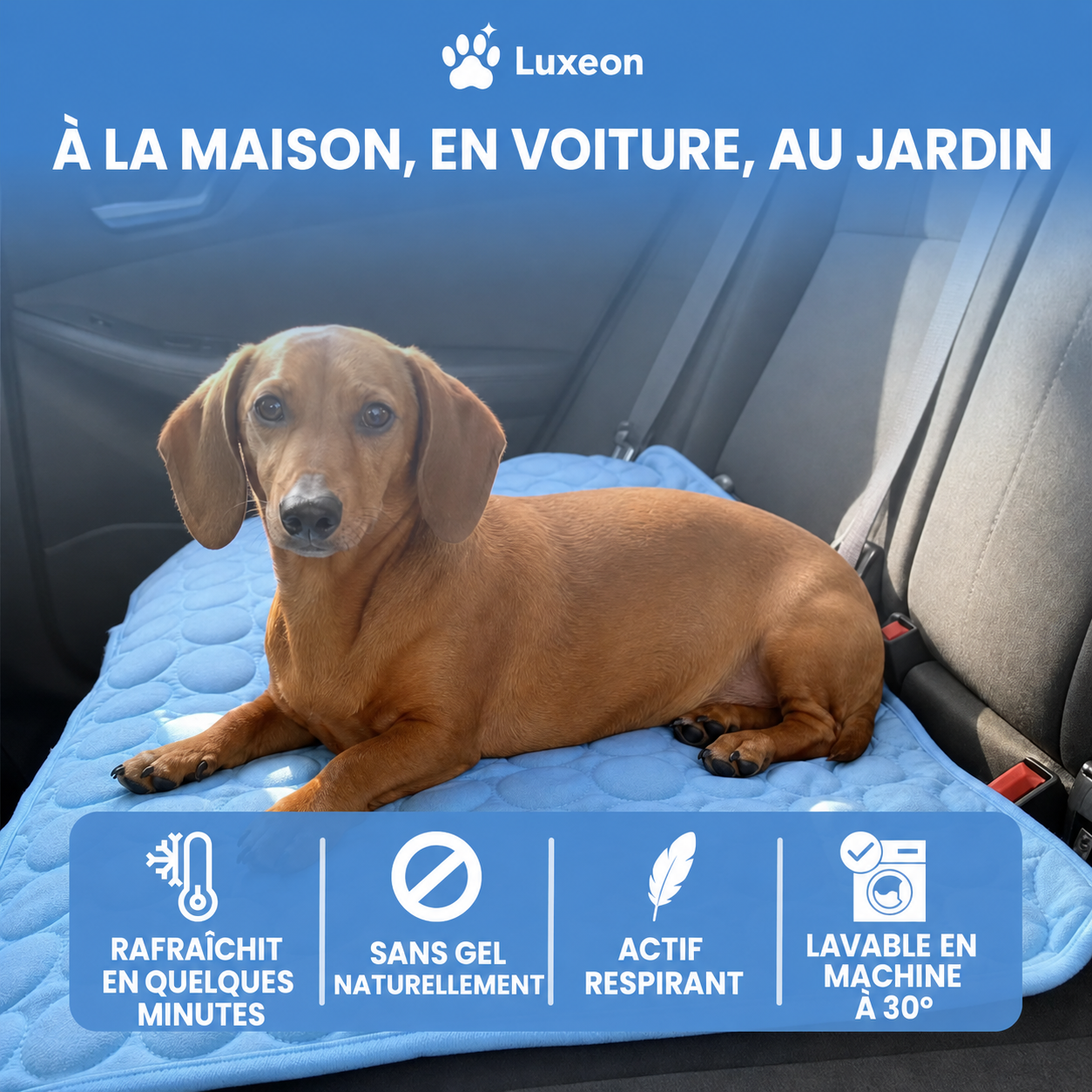 Tapis rafraîchissant PawCo™