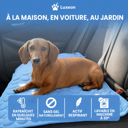 Tapis rafraîchissant PawCo™