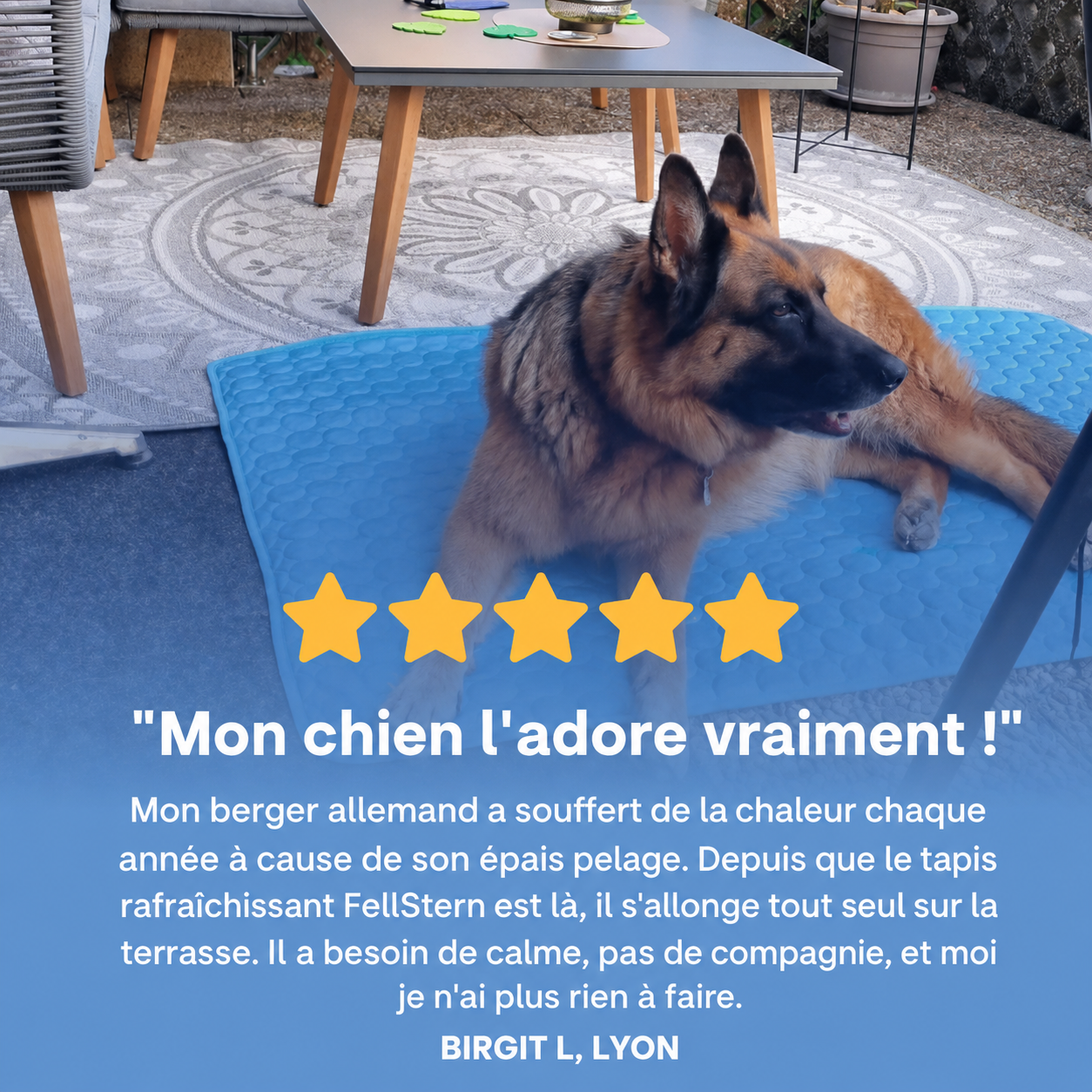 Tapis rafraîchissant PawCo™