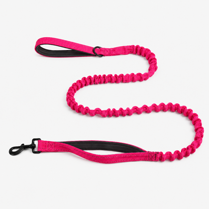 Laisse élastique pour chien
