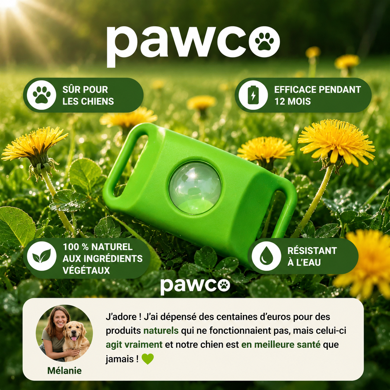 Pendentif Pawco™ - 12 mois de protection naturelle contre les puces, les tiques et les parasites