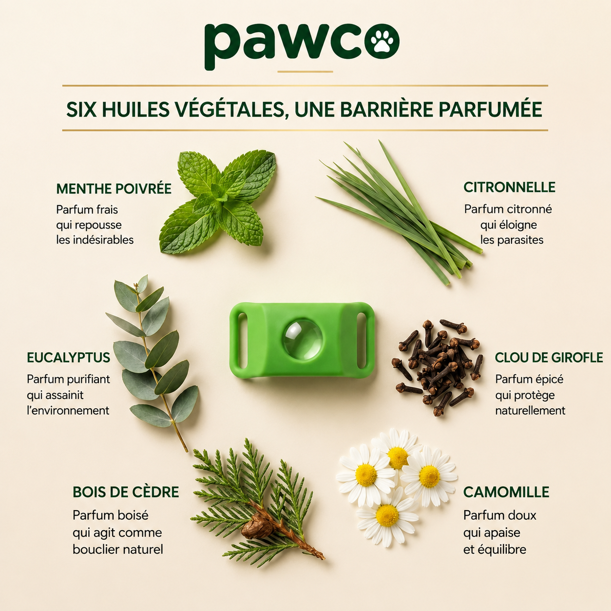 Pendentif Pawco™ - 12 mois de protection naturelle contre les puces, les tiques et les parasites