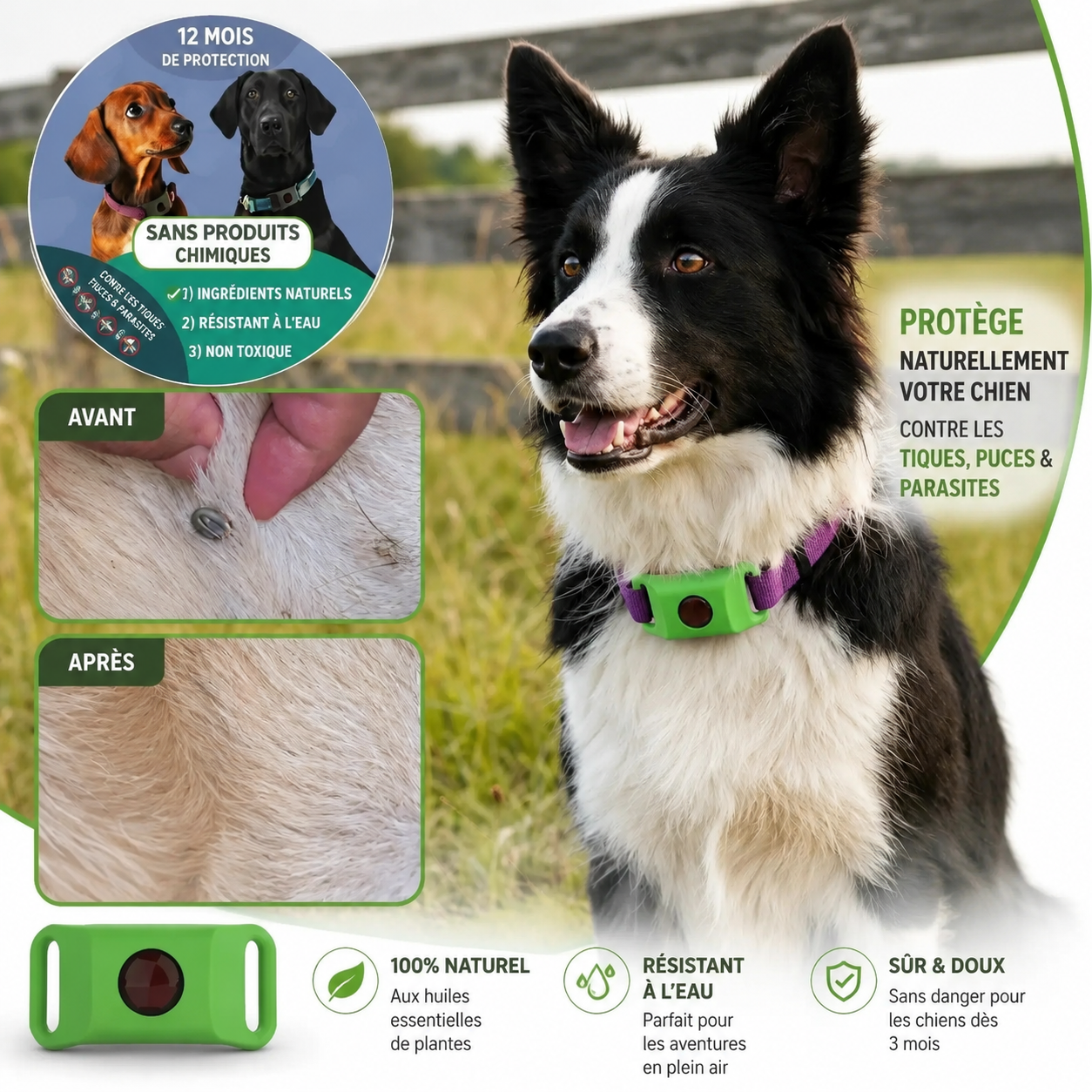 Pendentif Pawco™ - 12 mois de protection naturelle contre les puces, les tiques et les parasites