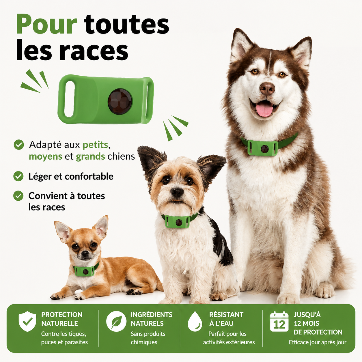 Pendentif Pawco™ - 12 mois de protection naturelle contre les puces, les tiques et les parasites