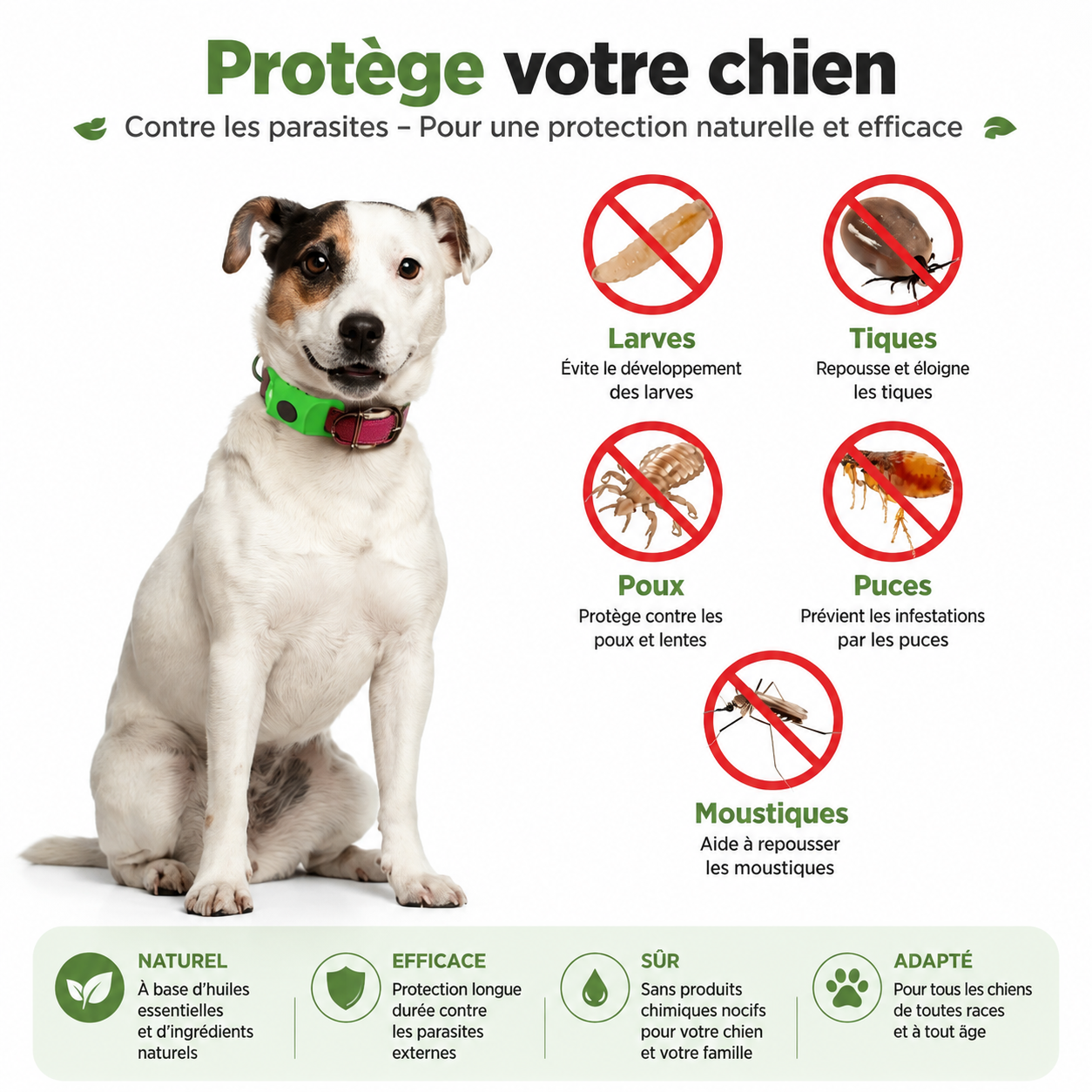 Pendentif Pawco™ - 12 mois de protection naturelle contre les puces, les tiques et les parasites