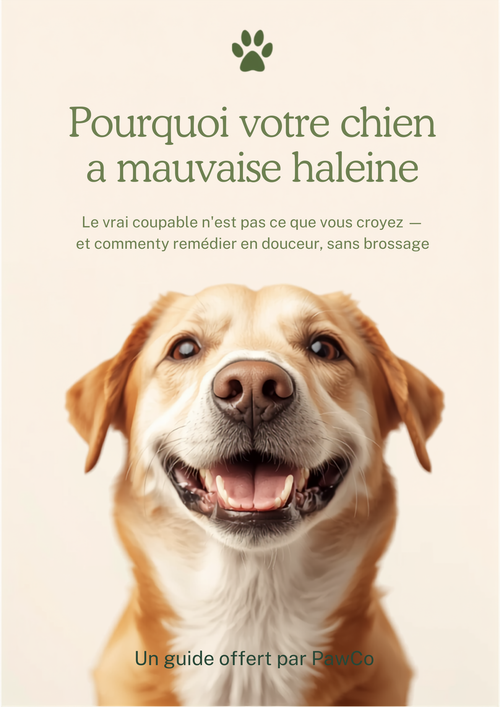 Guide Anti-détartrage