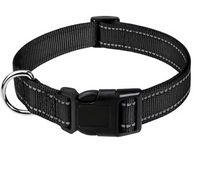 Collier réfléchissant pour chien - PawCo™